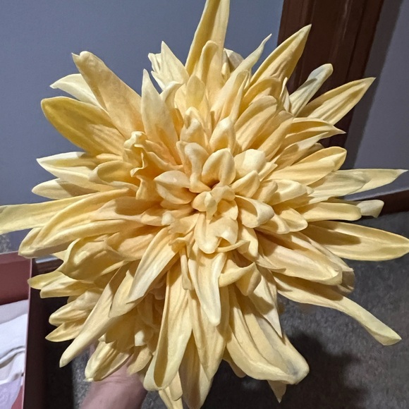 Cult Gaia Dee Dee Clutch - Picture 10 of 13